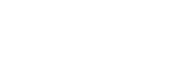 ConneXus